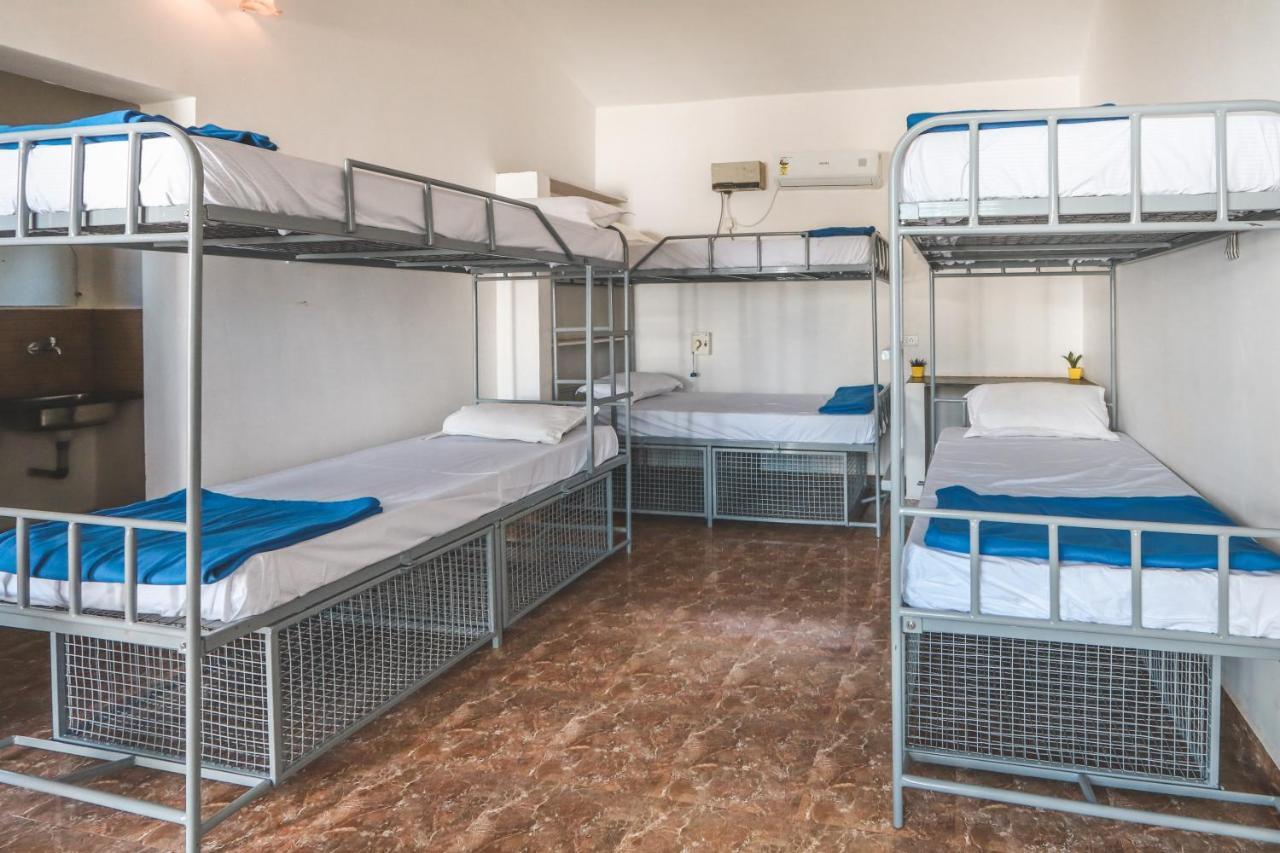 Piggy Hostel *